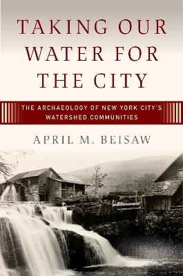Taking Our Water for the City - April M. Beisaw