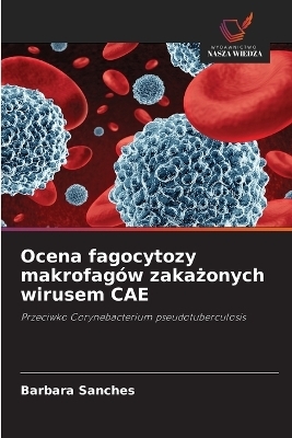 Ocena fagocytozy makrofagów zakażonych wirusem CAE