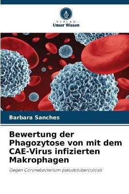 Bewertung der Phagozytose von mit dem CAE-Virus infizierten Makrophagen