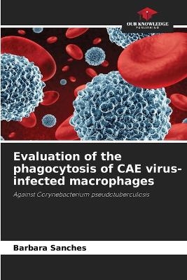 Evaluation of the phagocytosis of CAE virus-infected macrophages - Barbara Sanches