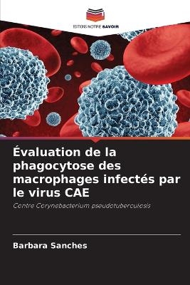 &Eacute;valuation de la phagocytose des macrophages infect&eacute;s par le virus CAE - Barbara Sanches
