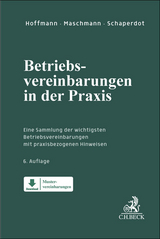 Betriebsvereinbarungen in der Praxis - Bigos, Bianca; Maschmann, Frank; Schaperdot, Susanne