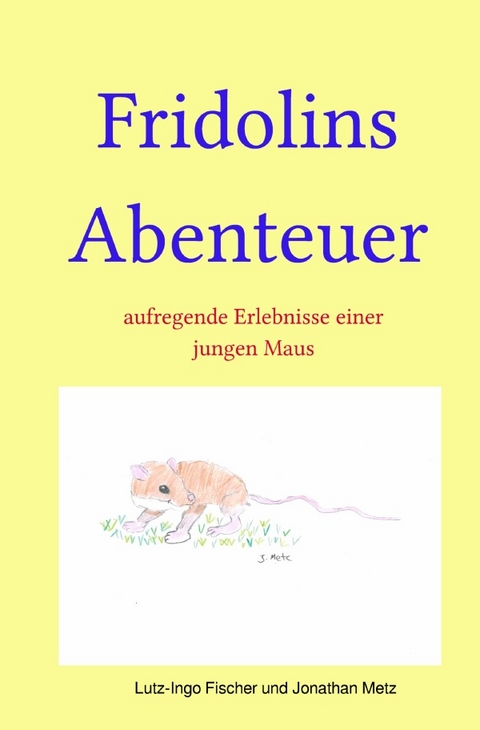 Fridolins Abenteuer - Jonathan Metz