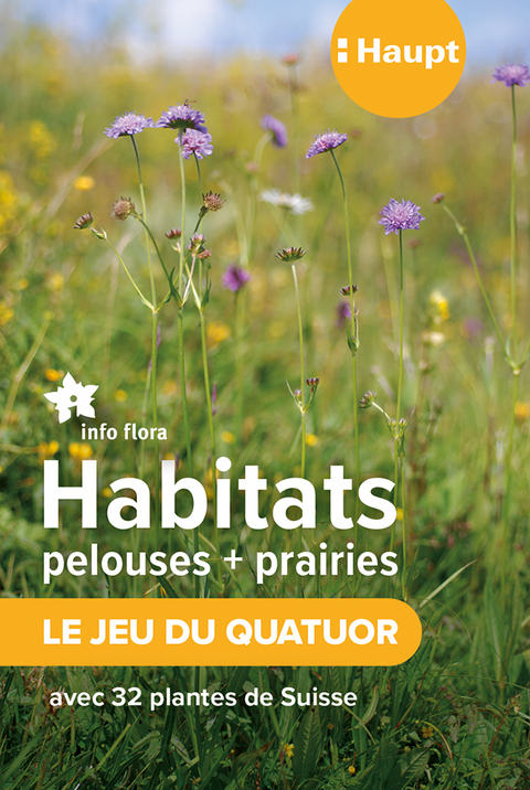 Habitats pelouses et prairies &ndash; le jeu du quatuor
