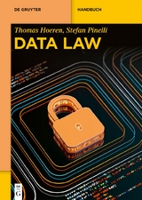 Data Law - Thomas Hoeren, Stefan Pinelli