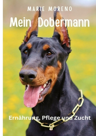 Mein Dobermann