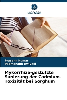 Mykorrhiza-gestützte Sanierung der Cadmium-Toxizität bei Sorghum