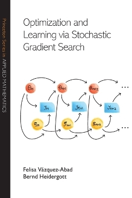 Optimization and Learning via Stochastic Gradient Search