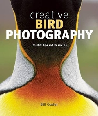 Creative Bird Photography - Bill Coster