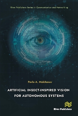 Artificial Insect-Inspired Vision for Autonomous Systems - Pavlo A. Molchanov