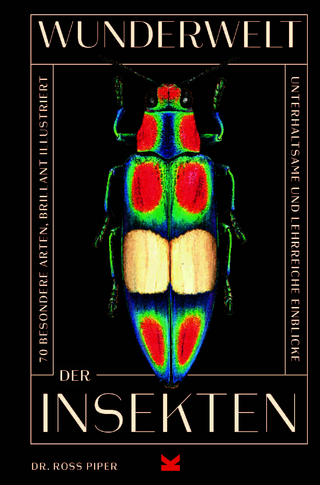 Wunderwelt der Insekten