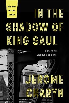 In the Shadow of King Saul - Jerome Charyn