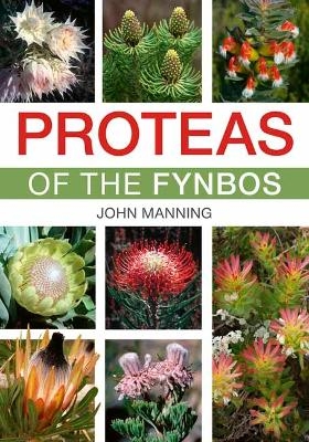 Proteas of the Fynbos - John Manning