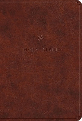 ESV Value Large Print Compact Bible