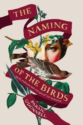 The Naming of the Birds - Paraic O'Donnell