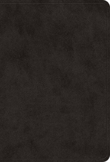 ESV Value Large Print Compact Bible - 