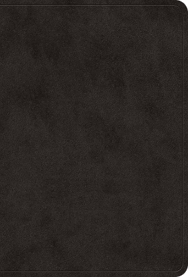 ESV Value Large Print Compact Bible