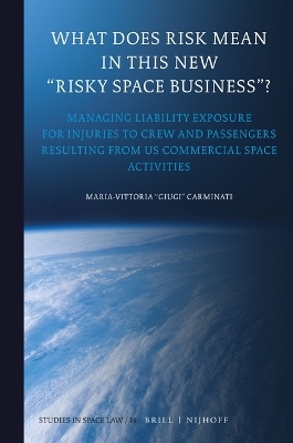What Does Risk Mean in This New “Risky Space Business”?