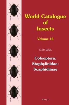 Coleoptera: Staphylinidae: Scaphidiinae - Ivan L&ouml;bl