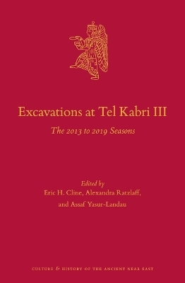 Excavations at Tel Kabri III