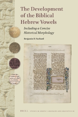 The Development of the Biblical Hebrew Vowels - Benjamin Suchard