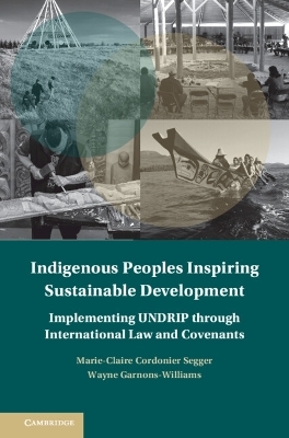 Indigenous Peoples Inspiring Sustainable Development - Marie-Claire Cordonier Segger, Wayne Garnons-Williams