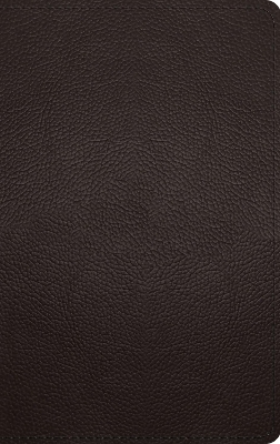ESV Thinline Bible, Red Letter