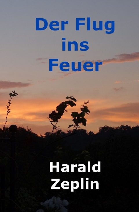 Der Flug ins Feuer - Harald Zeplin
