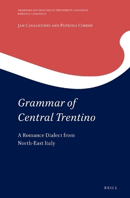 Grammar of Central Trentino - Jan Casalicchio, Patrizia Cordin