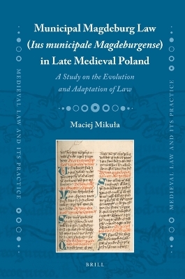 Municipal Magdeburg Law (Ius municipale Magdeburgense) in Late Medieval Poland - Maciej Mikuła
