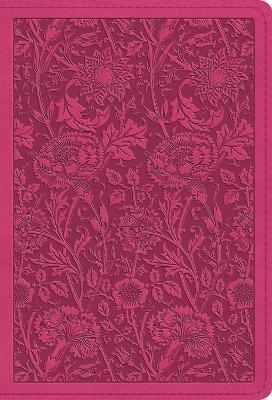 ESV Large Print Compact Bible, Red Letter