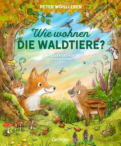 Wie wohnen die Waldtiere? - Peter Wohlleben