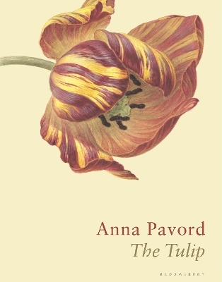 The Tulip - Anna Pavord
