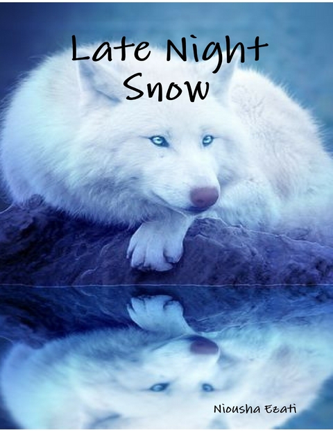 Late Night Snow -  Niousha Ezati