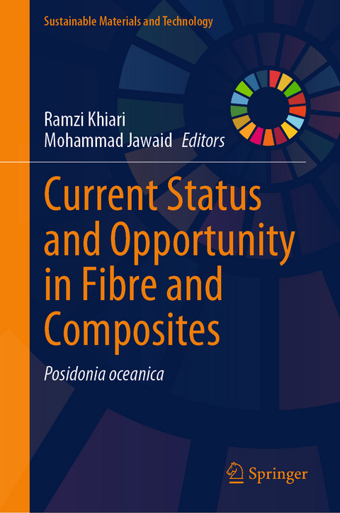Current Status and Opportunity in Fibre and Composites - 