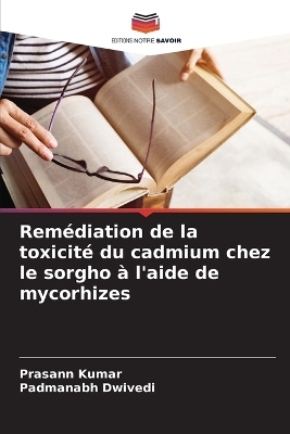 Remédiation de la toxicité du cadmium chez le sorgho à l'aide de mycorhizes