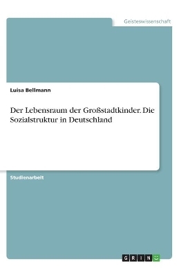 Der Lebensraum der GroÃstadtkinder. Die Sozialstruktur in Deutschland