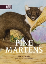 Pine Martens - Birks, Johnny
