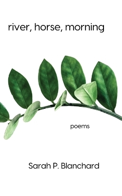 river, horse, morning - Sarah P Blanchard