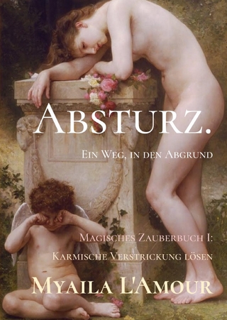 Absturz.
