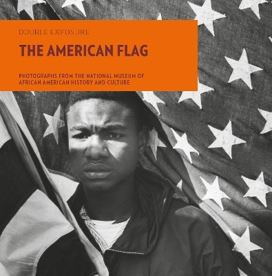 The American Flag - Aaron Bryant
