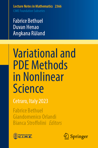Variational and PDE Methods in Nonlinear Science