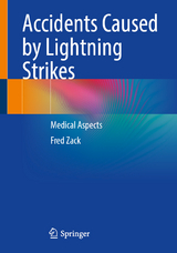 Accidents Caused by Lightning Strikes - Fred Zack