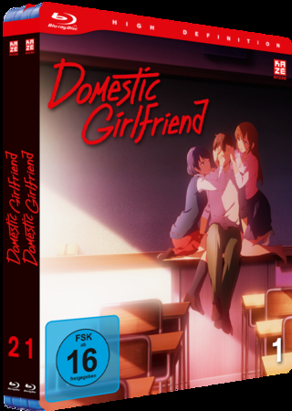 Domestic Girlfriend - Gesamtausgabe - Bundle - Vol.1-2 - [Blu-ray]
