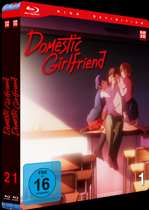 Domestic Girlfriend - Gesamtausgabe - Bundle - Vol.1-2 - [Blu-ray]