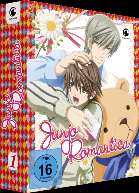 Junjo Romantica - Staffel 1 - Gesamtausgabe - [DVD]