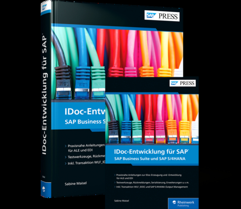 IDoc-Entwicklung für SAP - Sabine Maisel