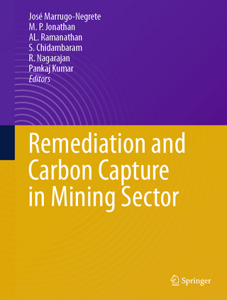 Remediation and Carbon Capture in Mining Sector