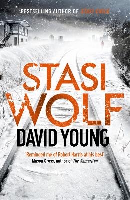 Stasi Wolf - David Young