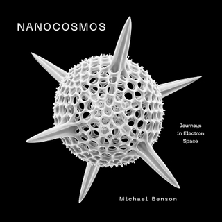 Nanocosmos
